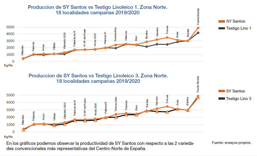 Girasol, Produccion de Sy Santos vs Testigo Linoleico 1 y 3. Zona Norte