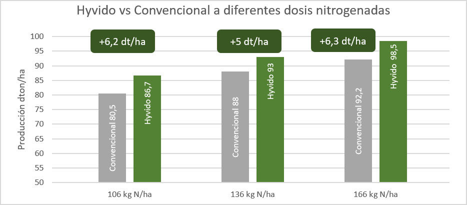 hyvido vs convencional a diferentes dosis nitrogenadas