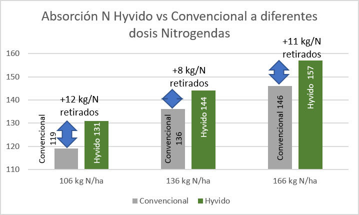 absorción N hyvido vs convencional a diferentes dosis Nitrogendas