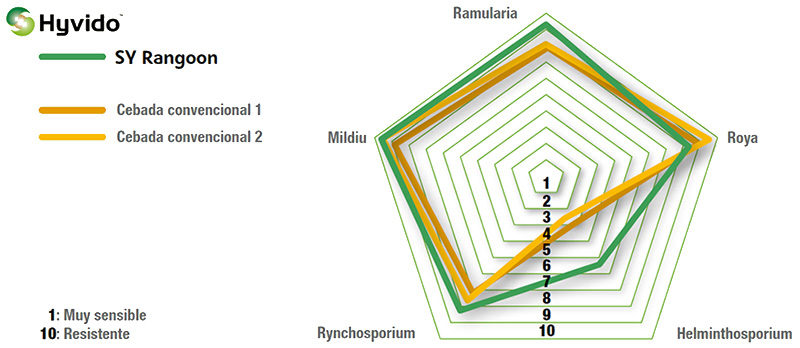 Gráfico Comportamiento frente a enfermedades Hyvido SY Rangoon