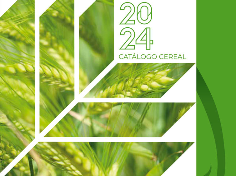 Catálogo Cereal 2024