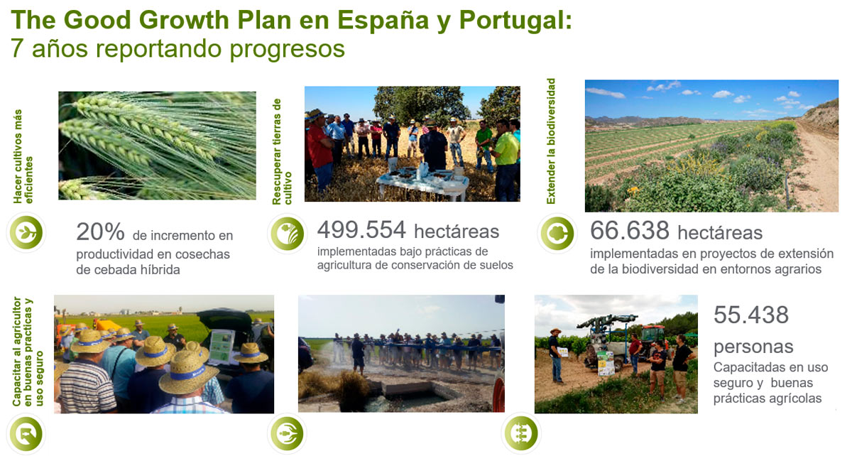 7 años reportando progresos