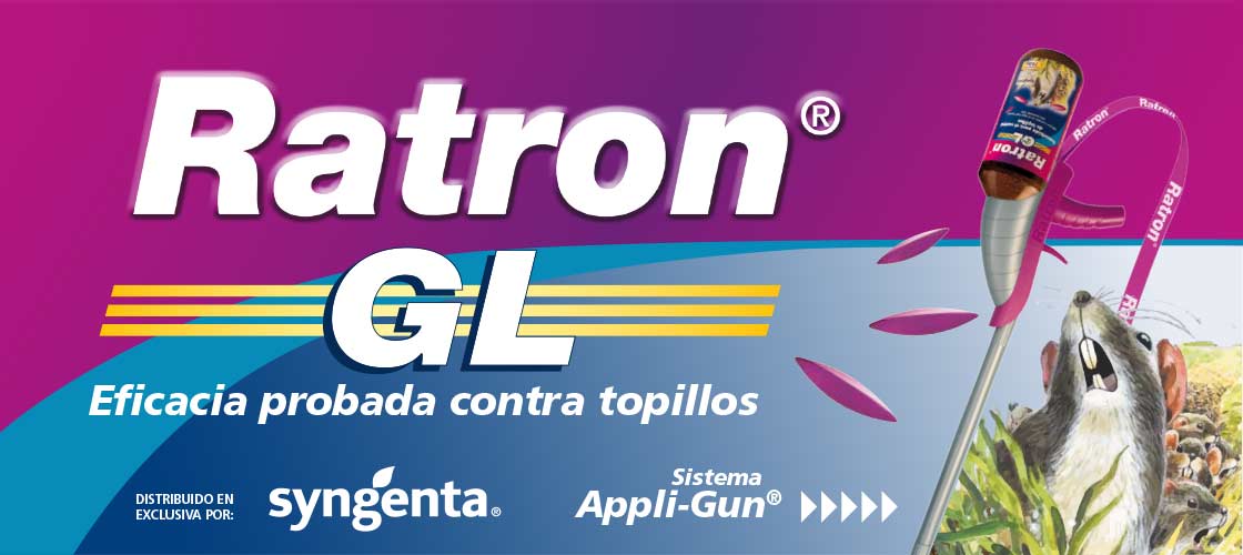 Descripcion producto