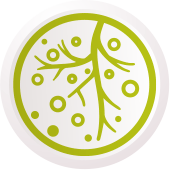 Mejora la microbiota