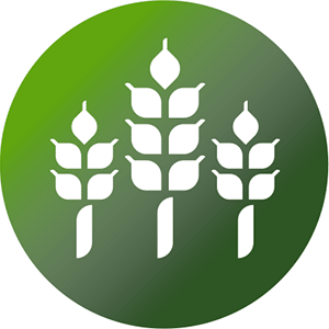 Adaptable para uso en silo