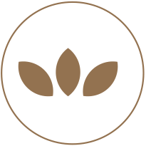Muy alto contenido de aceite