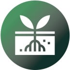 Se adapta muy bien a las distintas condiciones de suelo y clima