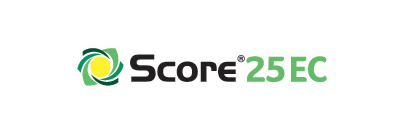 Score 25 EC