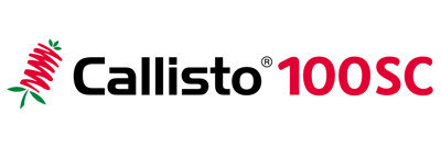 Callisto 100 SC