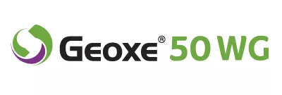 Geoxe 50 WG
