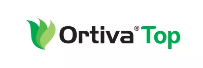 Ortiva Top