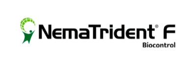 NemaTrident F