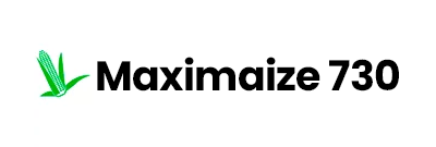 MaxiMaize 730