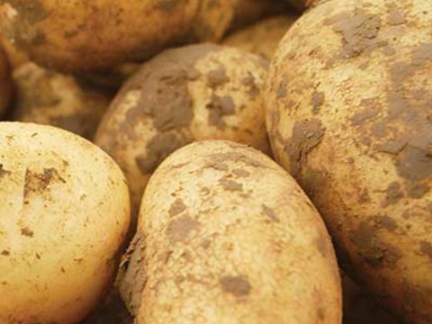 Bodegón de patatas