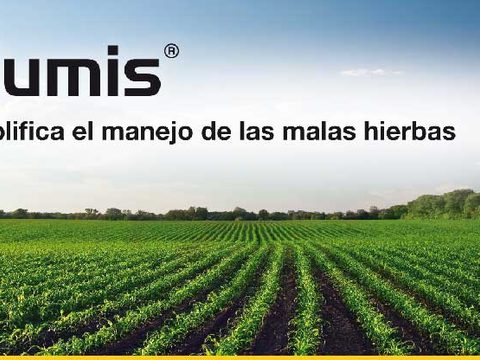 Elumis - Simplifica el manejo de las malas hierbas