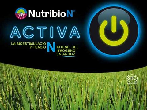 NutribioN bioestimulante para el arroz