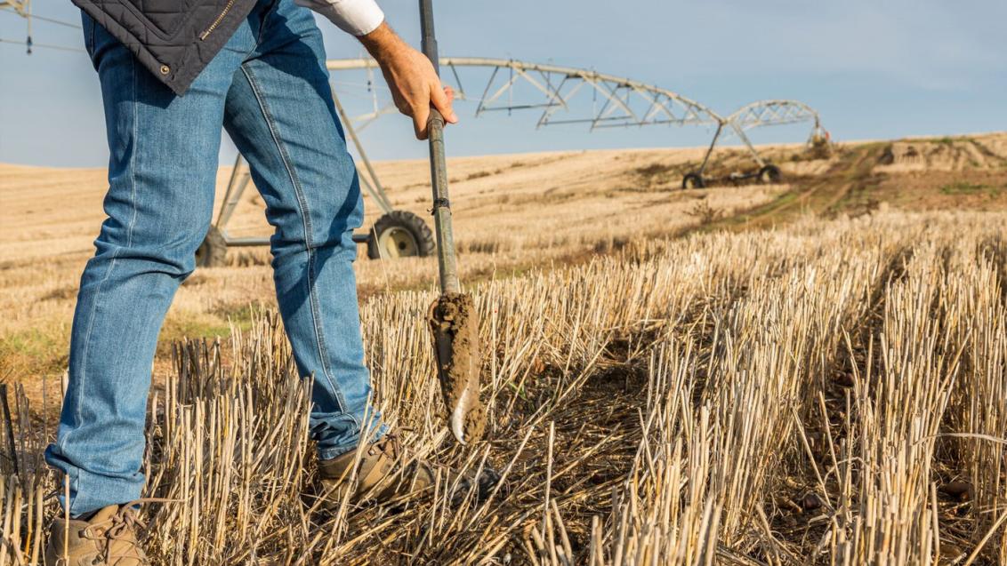 Agricultura sostenible