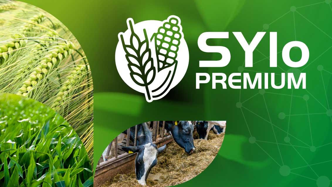 Maíz Sylo Premium