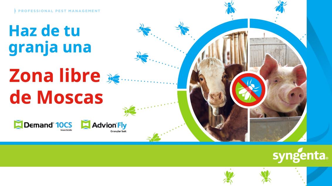 Zona libre de moscas