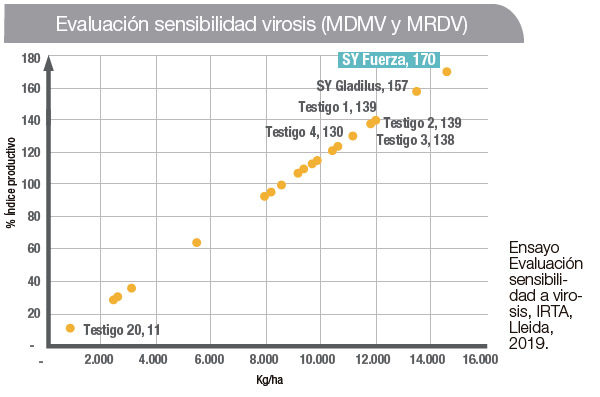 Gráfico de Evaluación sensibilidad virosis (MDMV y MRDV) SY Fuerza