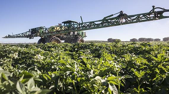 Protección de cultivos