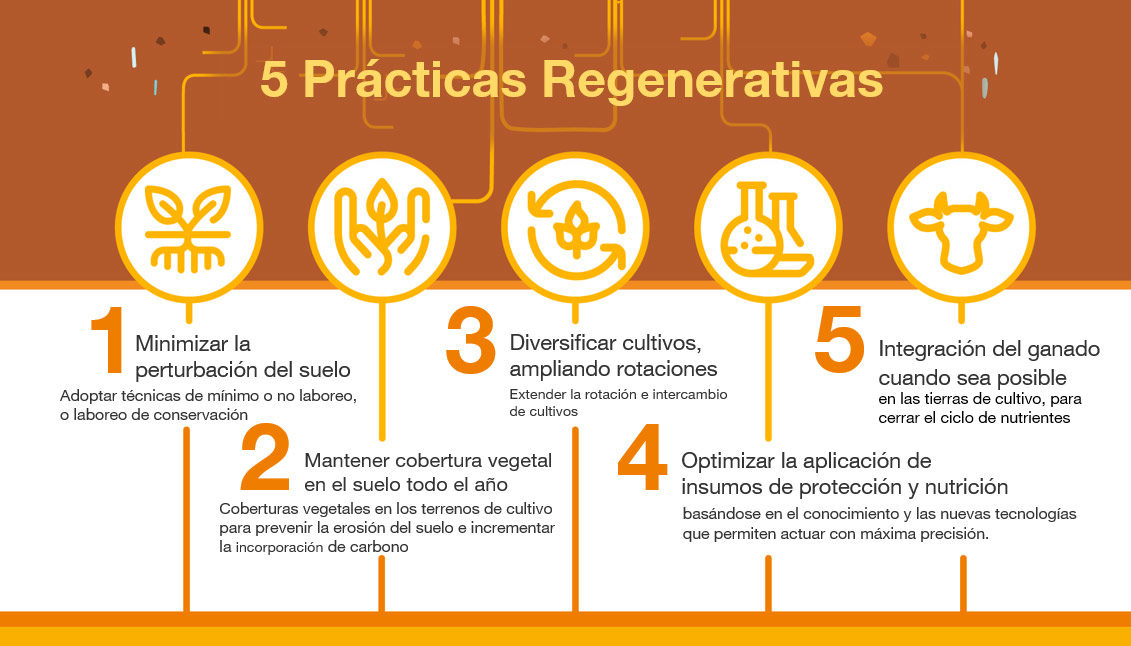 5 prácticas regenerativas