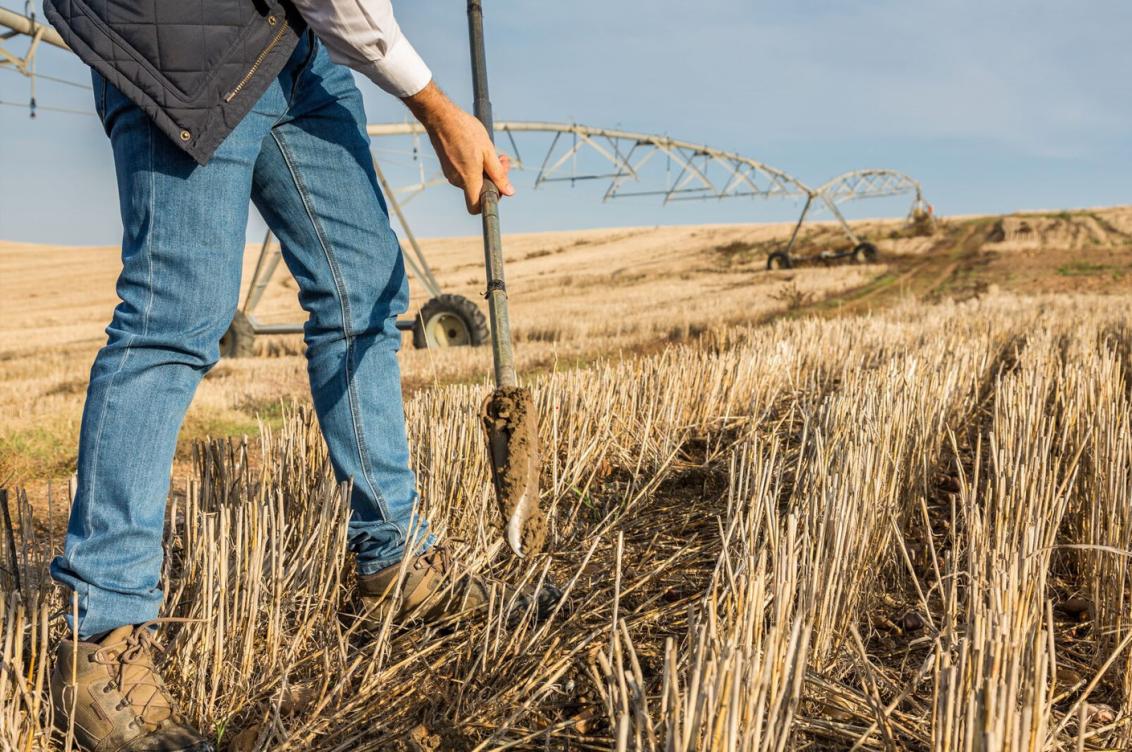 Agricultura sostenible