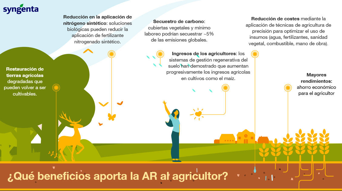 Beneficios que aporta la Agricultura Regenerativa al agricultor