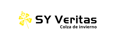 SY Veritas