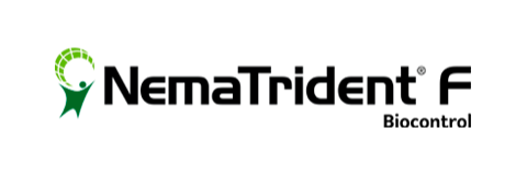 NemaTrident F