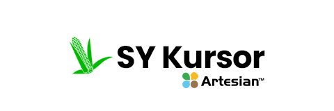 SY Kursor