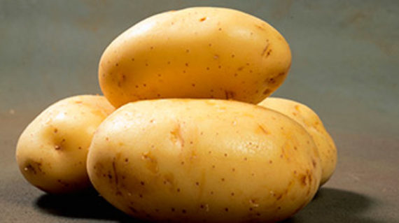 cultivo de la Patata