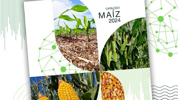 Catálogo de maíz 2024