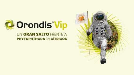 Orondis Vip