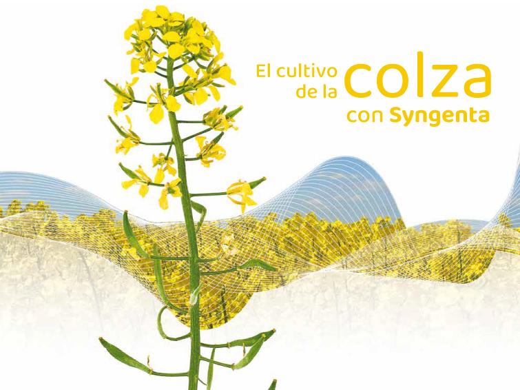 Cuaderno de la colza con Syngenta