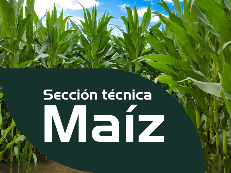 Sección técnica maíz