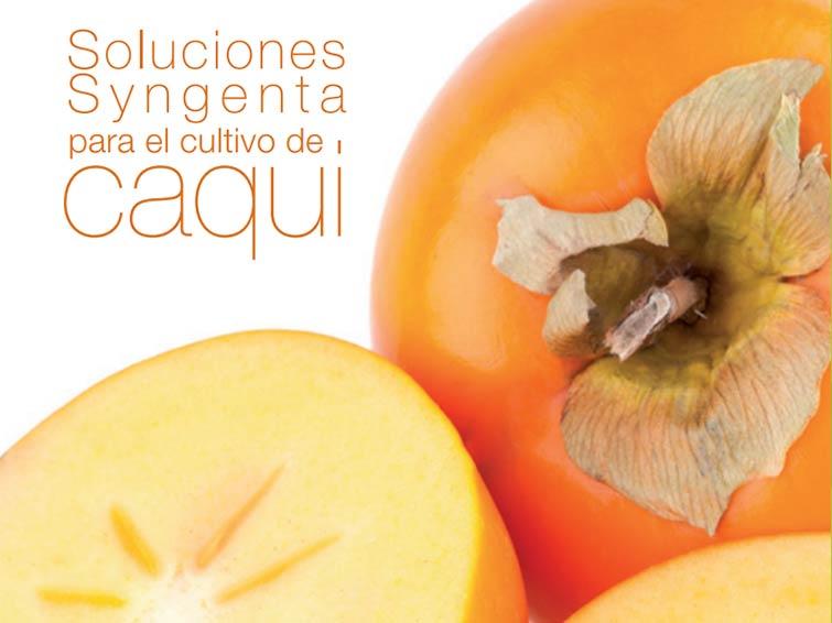 Soluciones Syngenta para el caqui