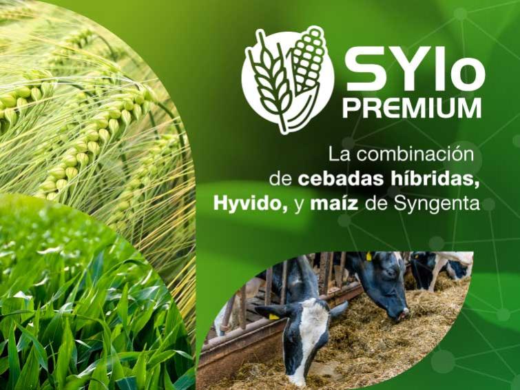 Sylo Premium