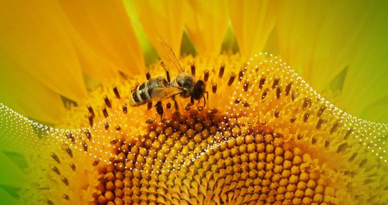 Todo sobre los biológicos