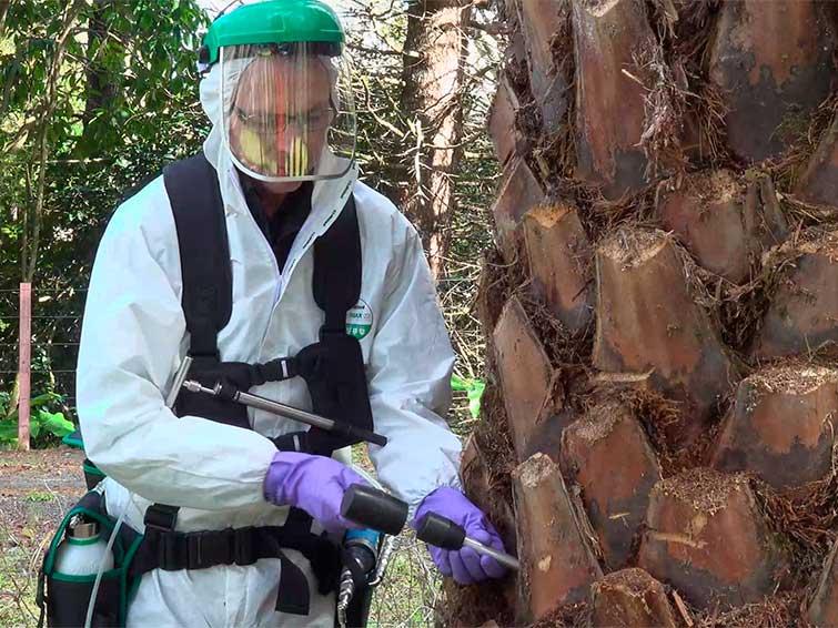 Técnico aplicando TreeCare