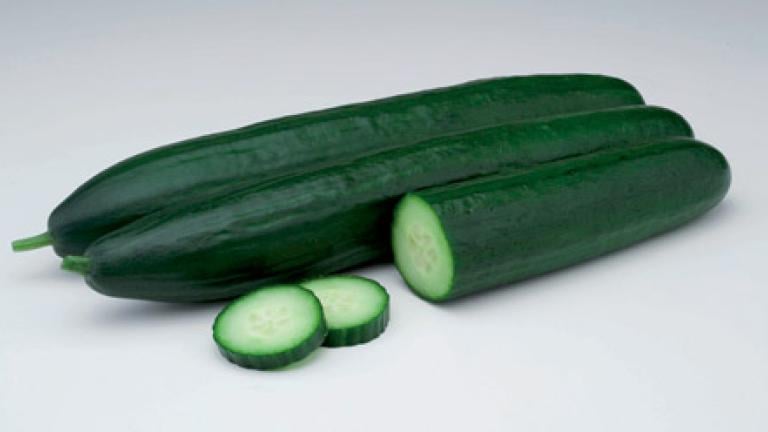 cultivo del Pepino