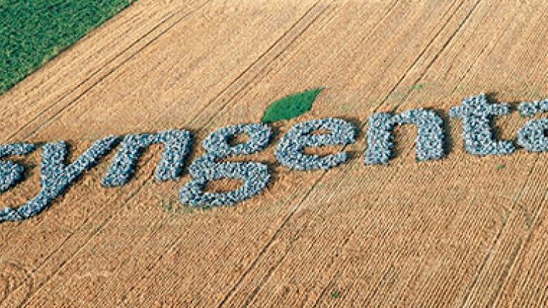 Campo Syngenta