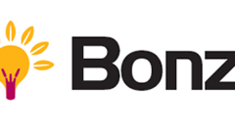 Bonzi