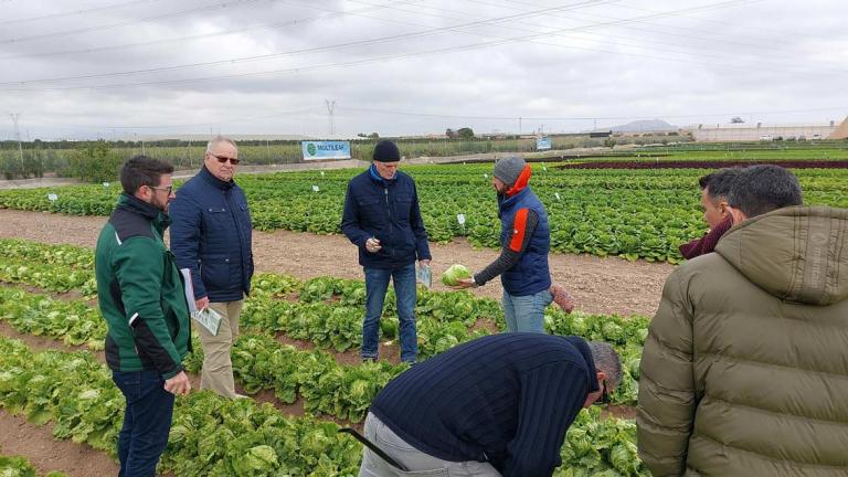 Las visitas en la Salads Motion 2023