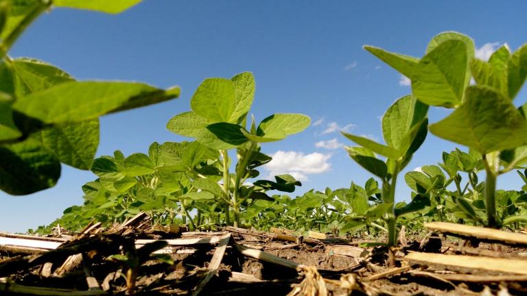Agricultura Sostenible