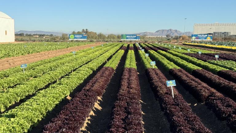 Estamos adaptando las variedades apostando por materiales más rústicos, que aguanten mejor los cambios bruscos de temperatura