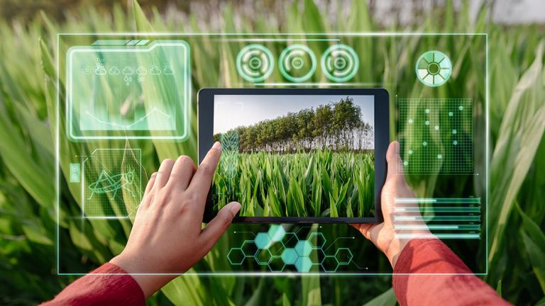 Inteligencia Artificial que revolucionarán la agricultura en 2025
