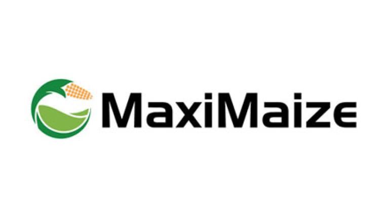 MaxiMaize