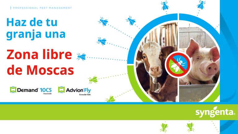 Zona libre de moscas