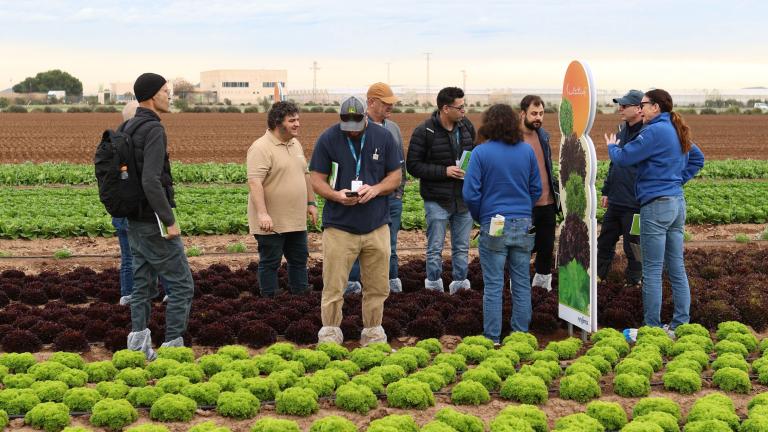 Syngenta presenta sus innovaciones en cultivos de hoja y brassica